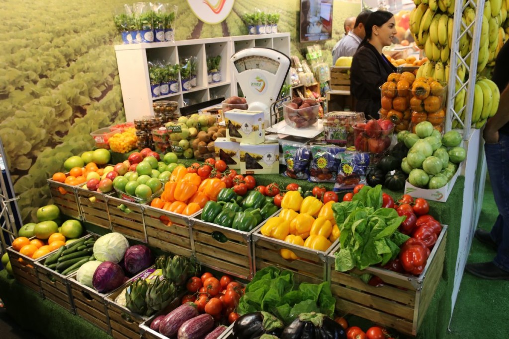 Natural and Organic Expo Dubai