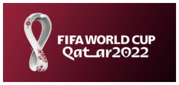 qatar fifa world cup